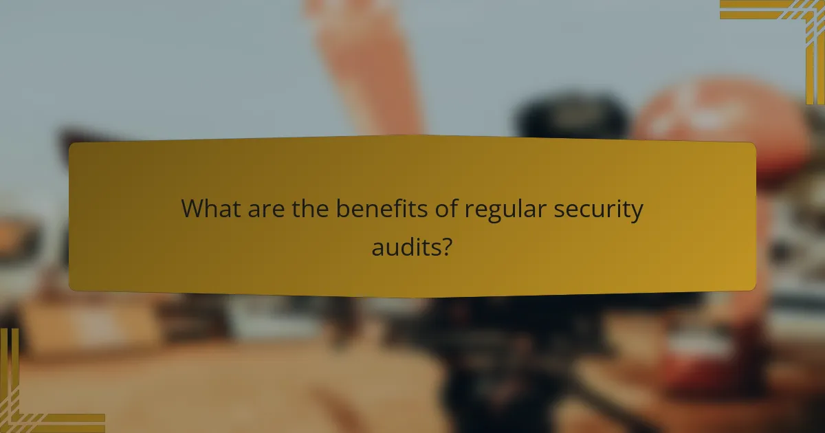 What are the benefits of regular security audits?