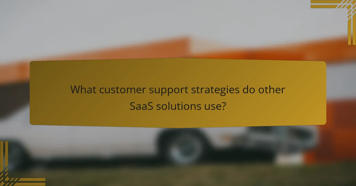 What customer support strategies do other SaaS solutions use?